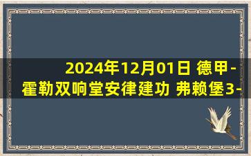 2024年12月01日 德甲-霍勒双响堂安律建功 弗赖堡3-1门兴